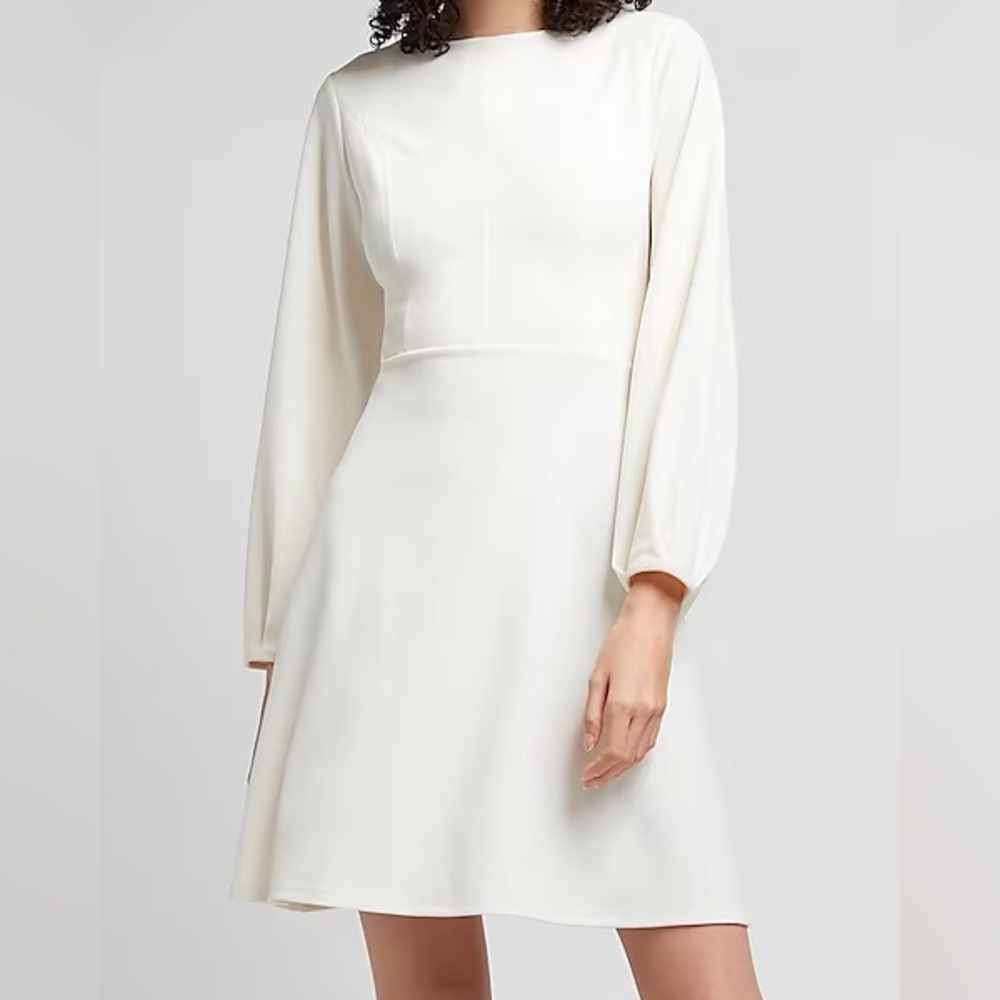 Express Dress L